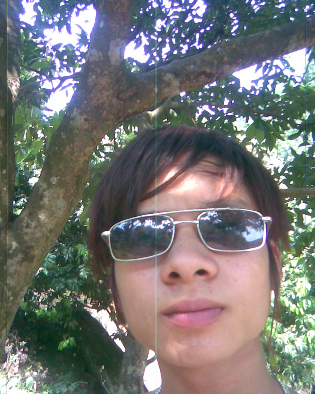 Log